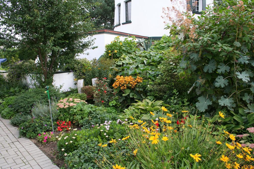 De Witte Molen Kranenburg Bed & Breakfast Kranenburg  Exterior photo